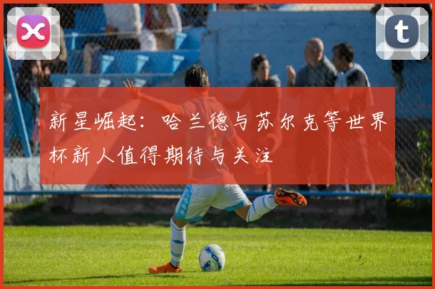 新星崛起：哈兰德与苏尔克等世界杯新人值得期待与关注