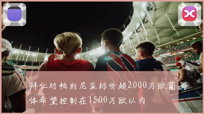 拜仁对帕利尼亚标价超2000万欧葡体希望控制在1500万欧以内